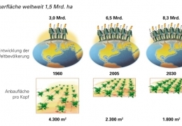 Entwicklung der Bevölkerung und der Ackerfläche/Kopf von 1960 bis 2030