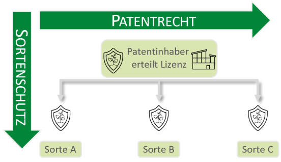 Ein Bild, das Text, Screenshot, Schrift, Rechteck enthält.

KI-generierte Inhalte können fehlerhaft sein.