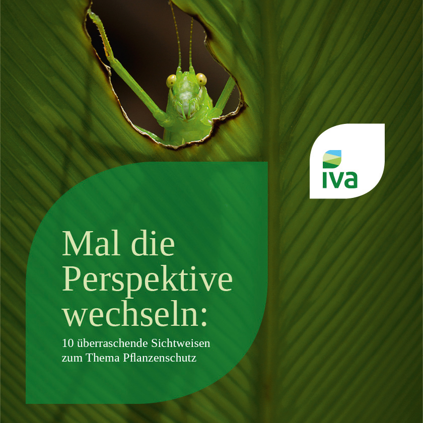 Mal die Perspektive wechseln