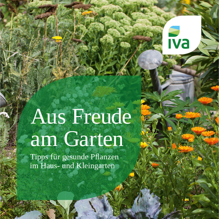 Aus Freude am Garten – Tipps für gesunde Pflanzen im Haus- und Kleingarten