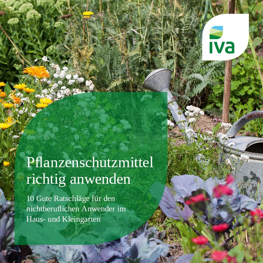 Pflanzenschutzmittel richtig anwenden (1 Block mit 50 Blättern)