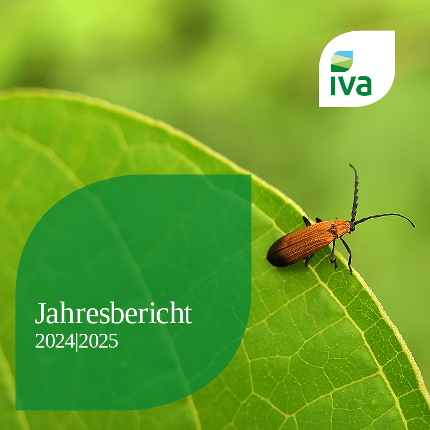 Jahresbericht 2024/2025