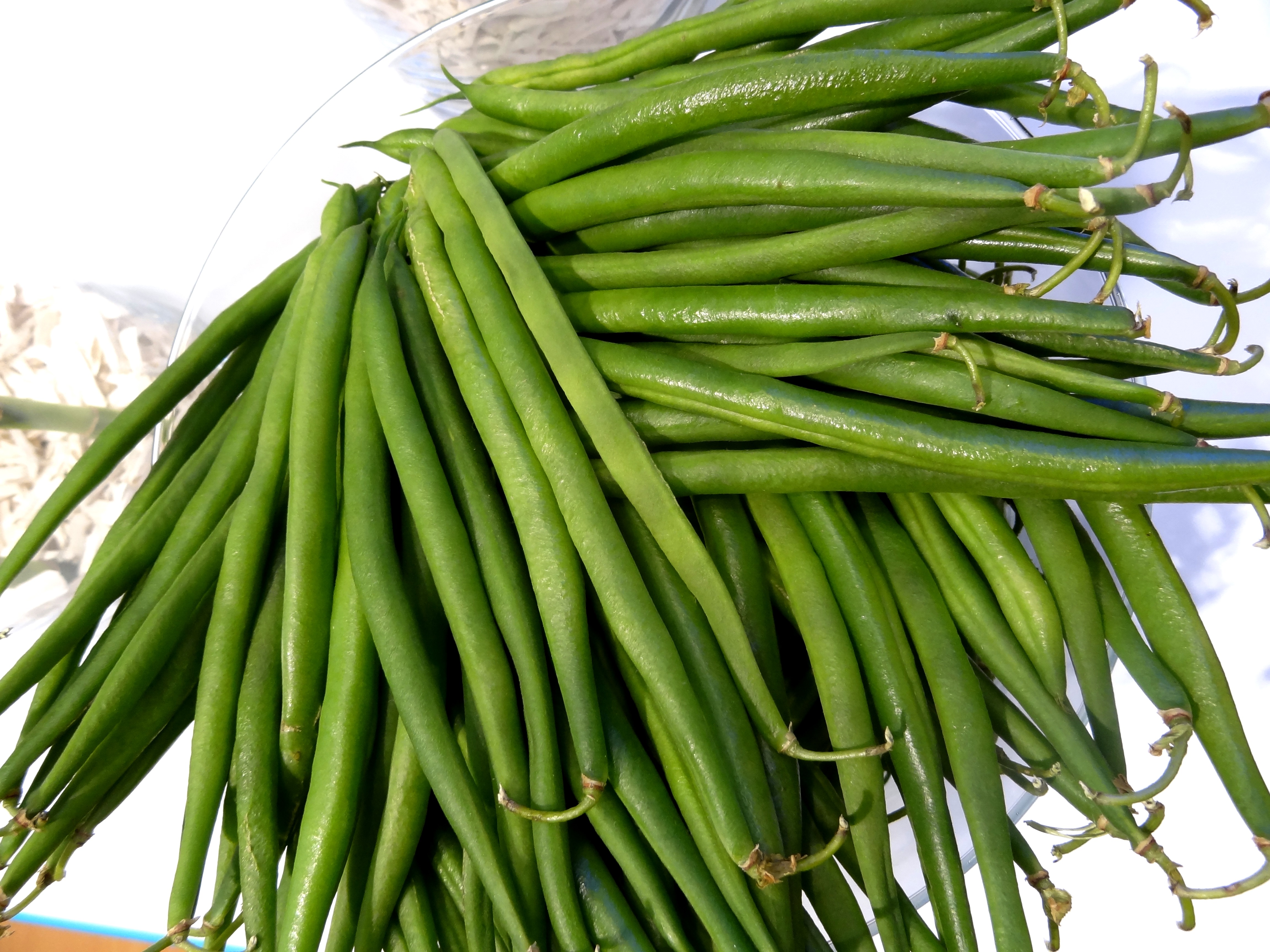 bux düngen Purgrün Buchenhecke-Dünger 1 kg main image 1