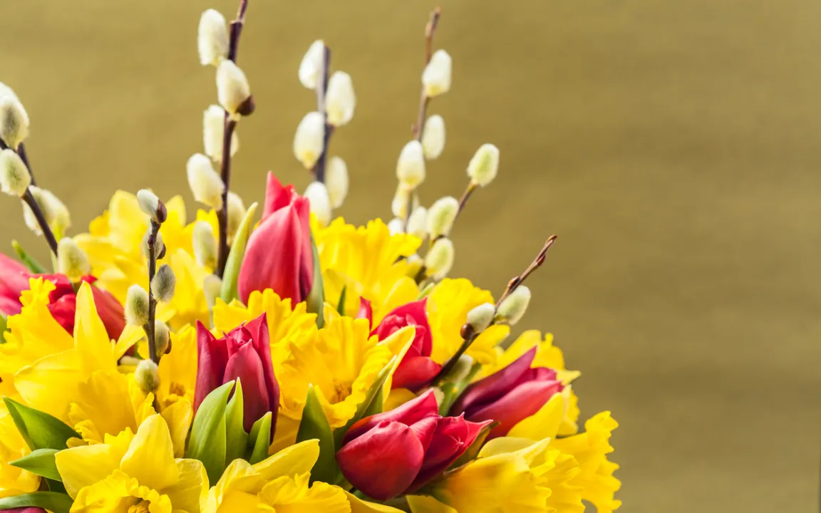 Beliebte Osterblumen