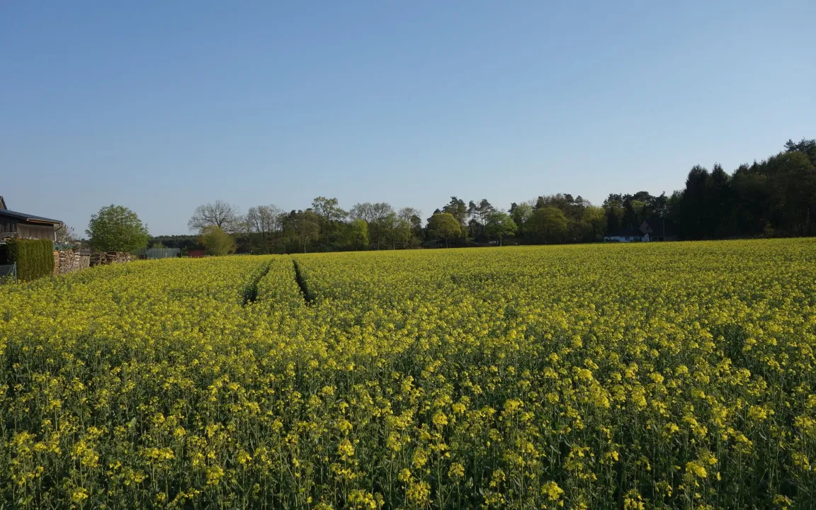 Wärmeres Klima und zunehmende Wetterextreme