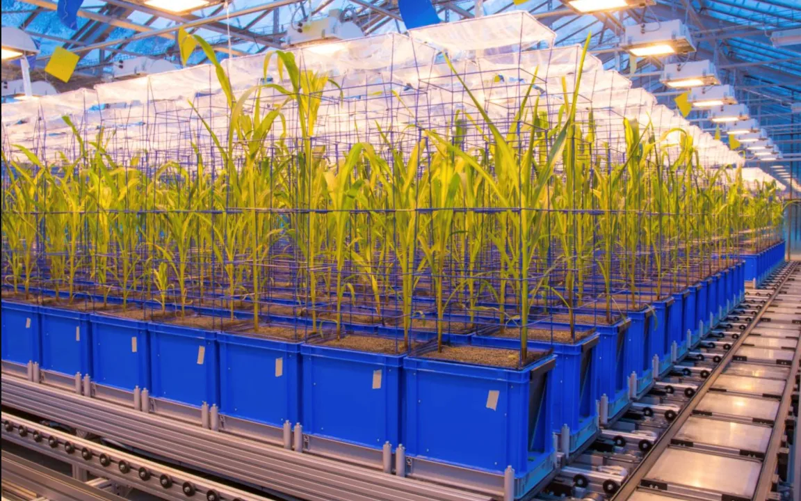 Hilfe gegen Umweltstress