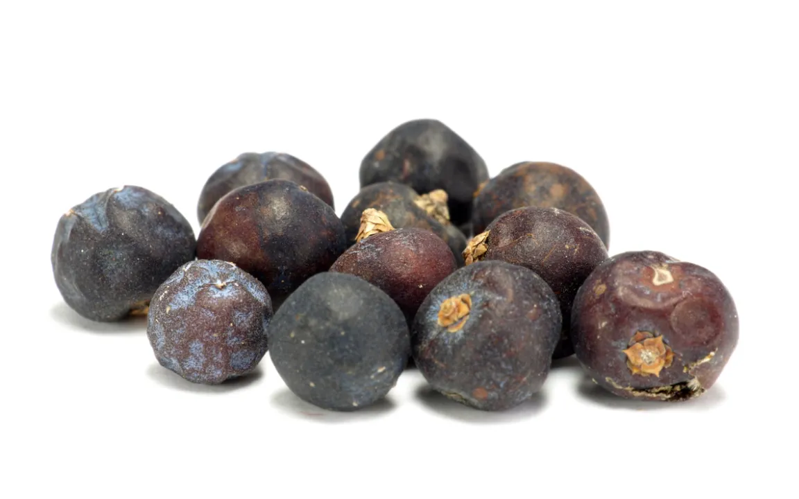 Wacholderbeeren: erstaunlich vielseitig