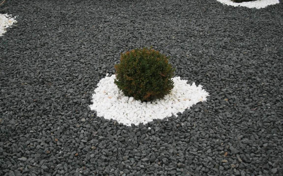 Exotische Gehölze: attraktiv und auch ökologisch nicht wertlos