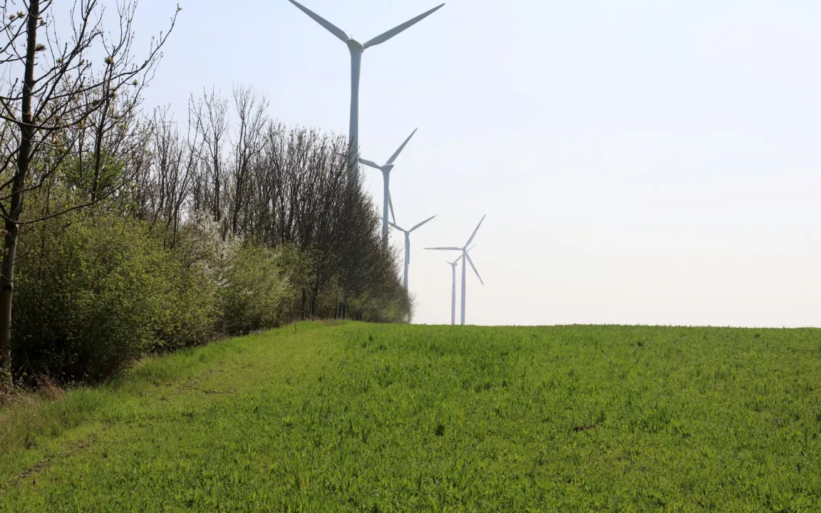 Hecken – unterschätzte Klimaschützer