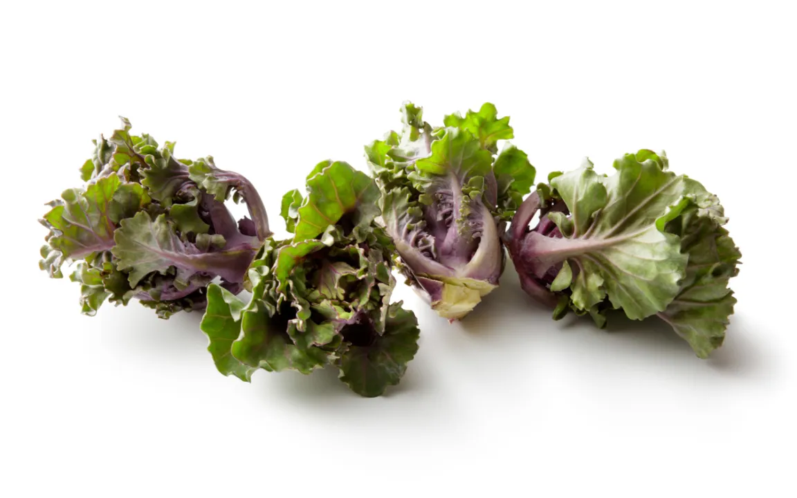 Flower Sprouts: ein neuer Stern am Gemüse-Himmel?