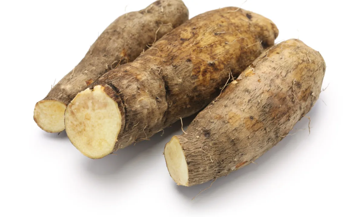 Yamswurzel: Die Kartoffel Westafrikas