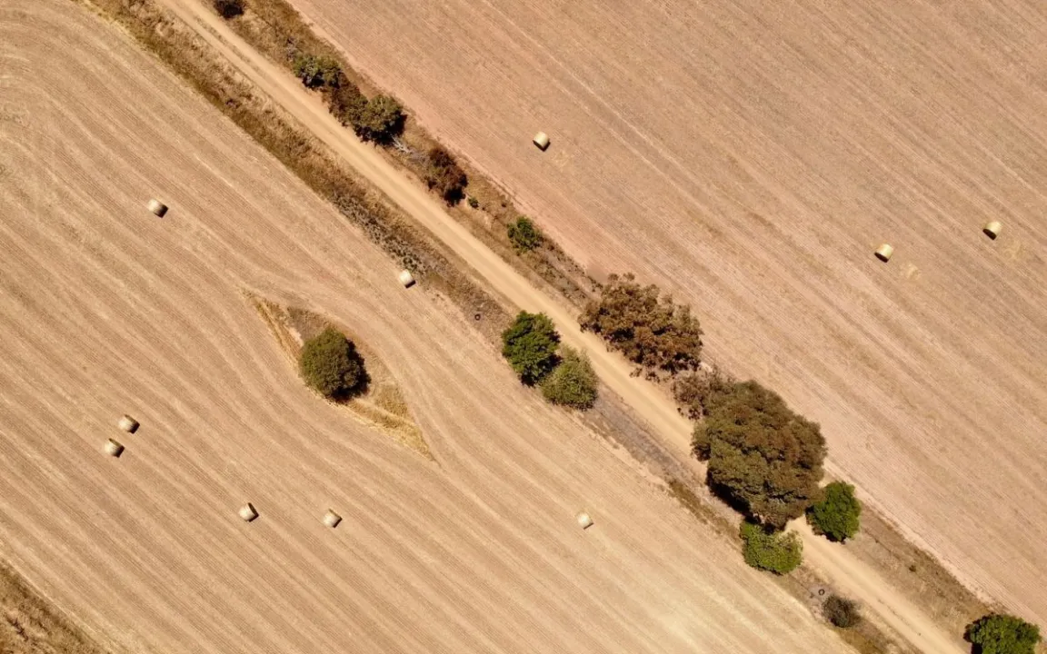 Digitalisierung in der Landwirtschaft sinnvoll nutzen