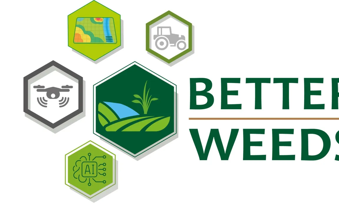 Gute und schlechte Unkräuter