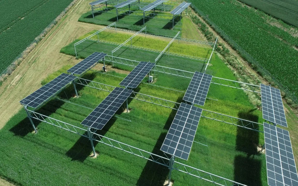 Eine Fläche, zwei Ernten