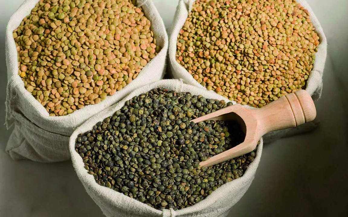 Die Wiederentdeckung von Späths Alblinsen