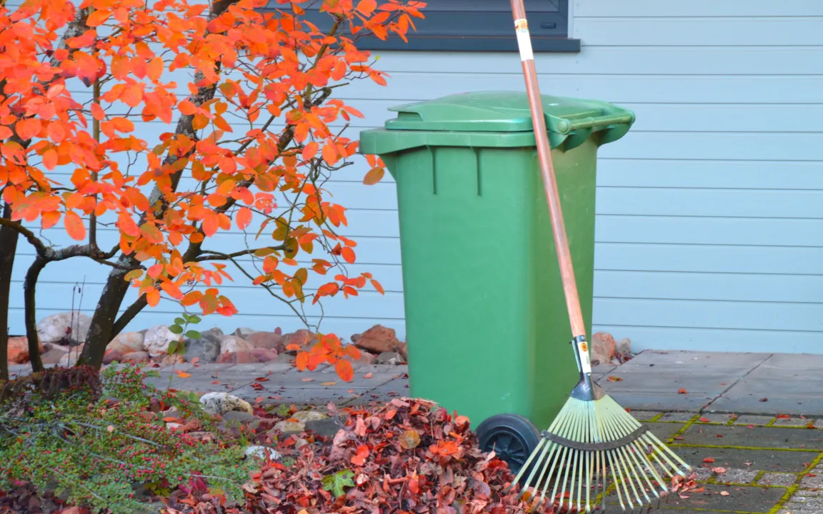Herbstlaub in die Tonne?