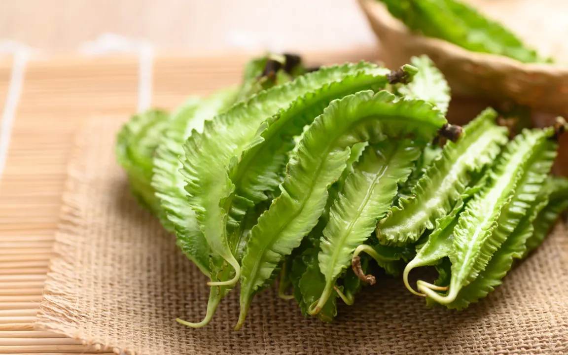 Goabohne: hat Flügel und Knollen