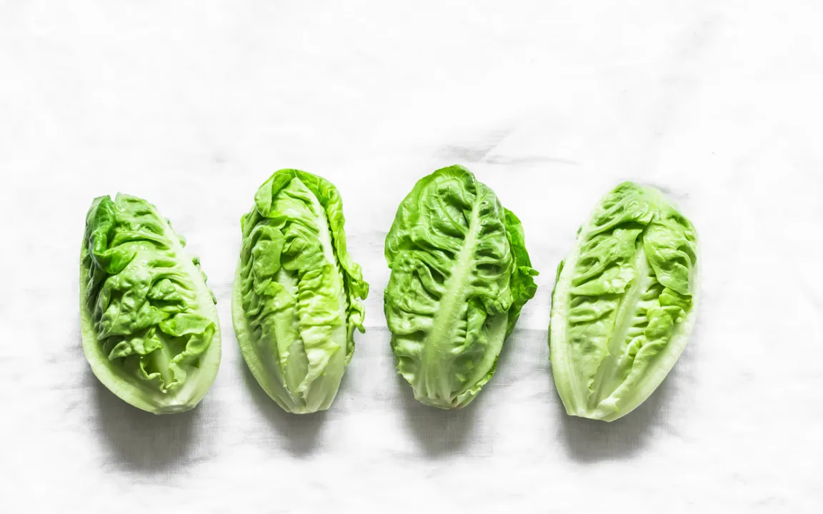 Der Romana – oder Römersalat