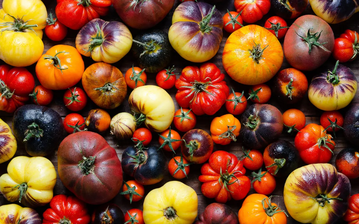 Fünf neue einheimische Nutzpflanzen auf Roter Liste