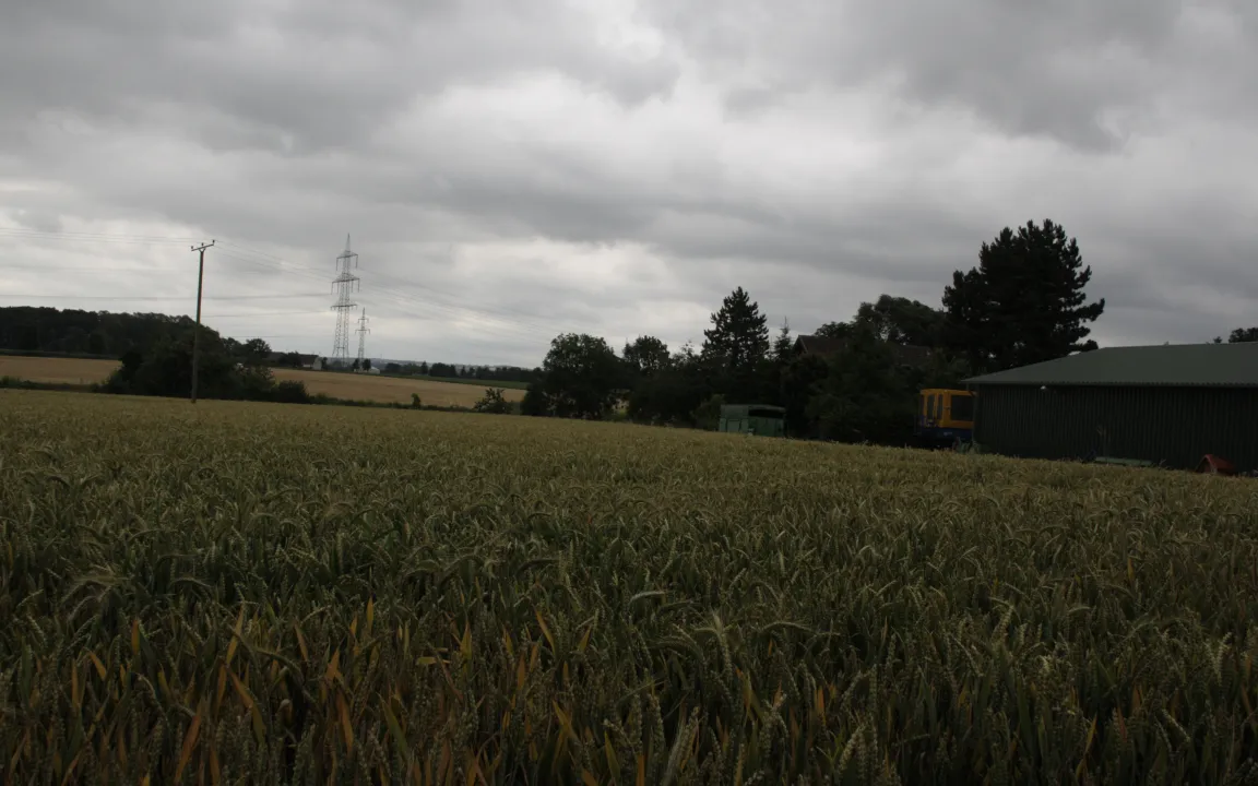 Neue Serie: Nachhaltigkeit im Pflanzenbau