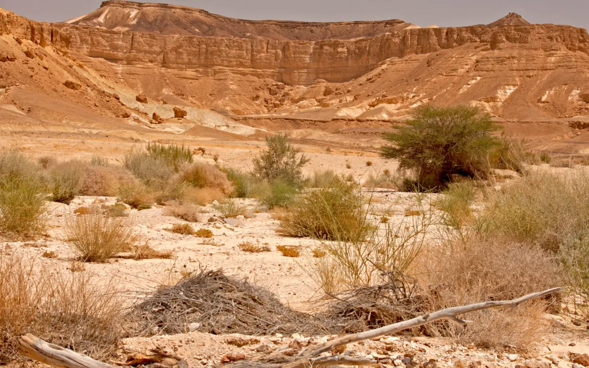Winziger Wasserträger mit großer Wirkung