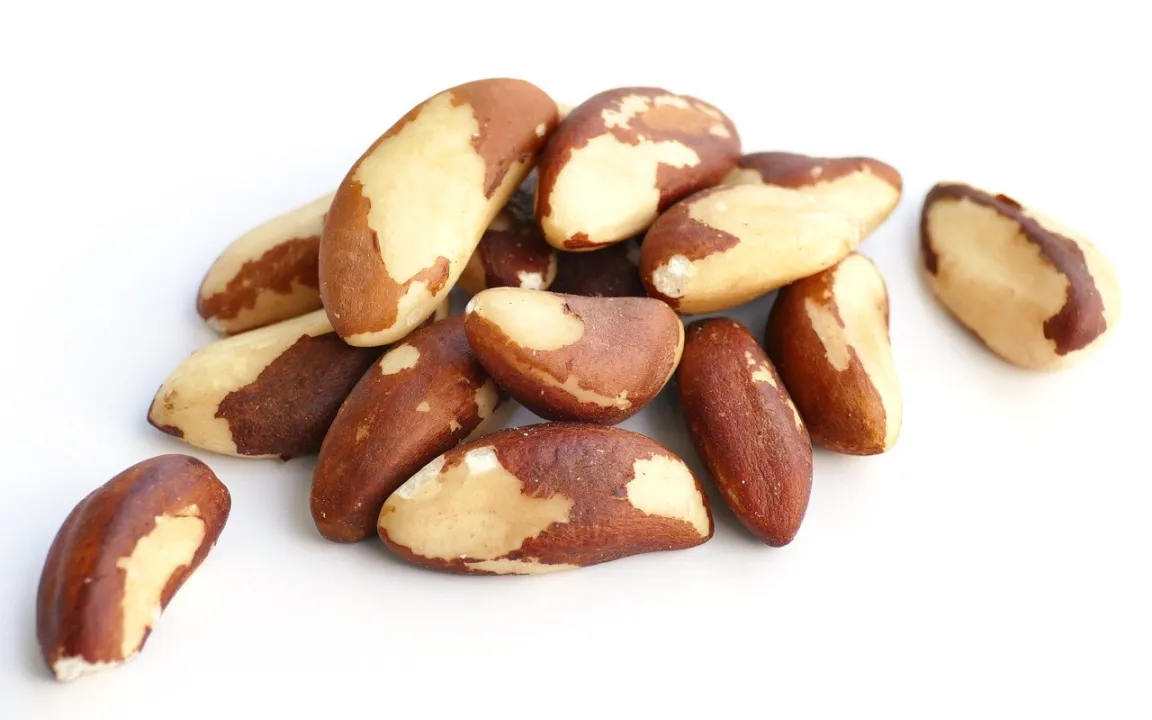 Paranuss: Eingeschränkt empfehlenswert