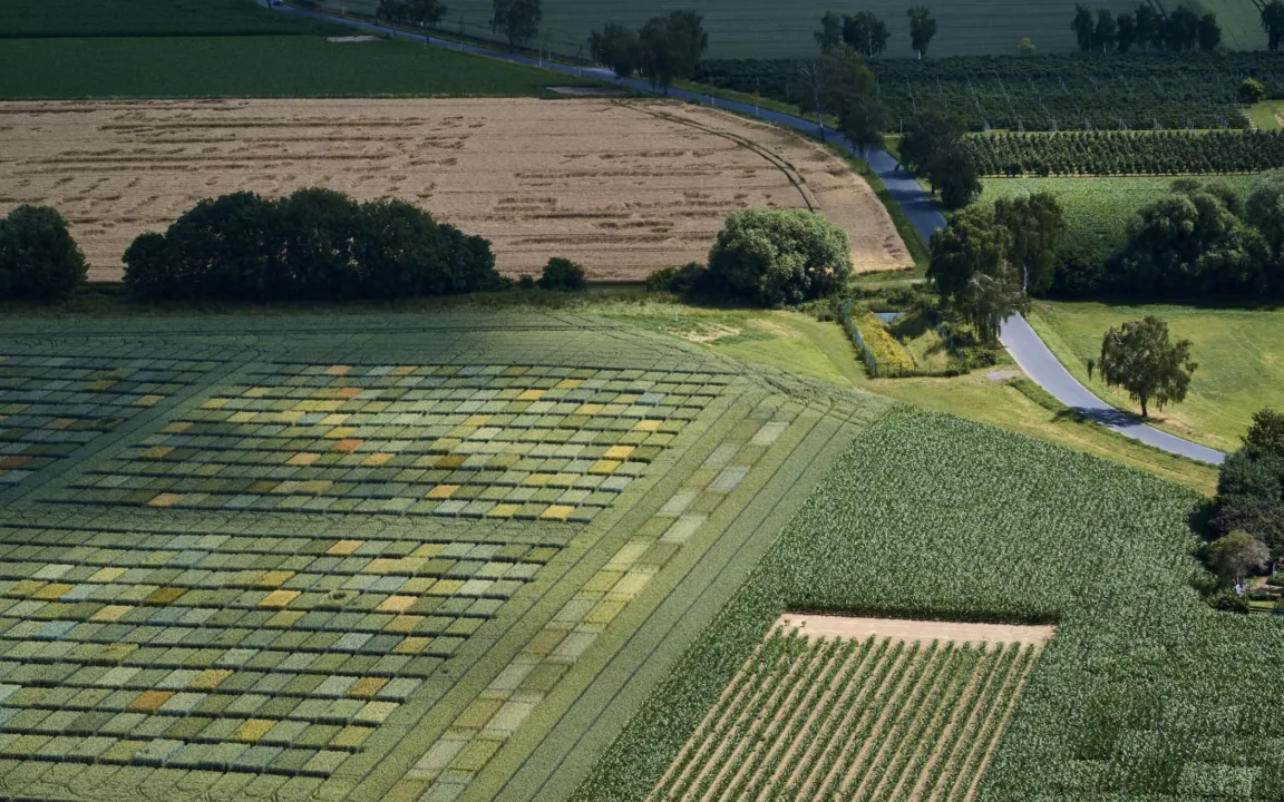 Die Hälfte der Welt