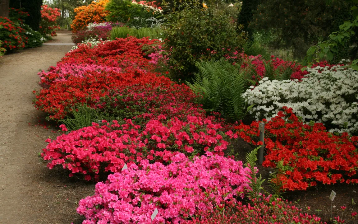 Park der Gärten – Deutschlands größte Mustergartenanlage