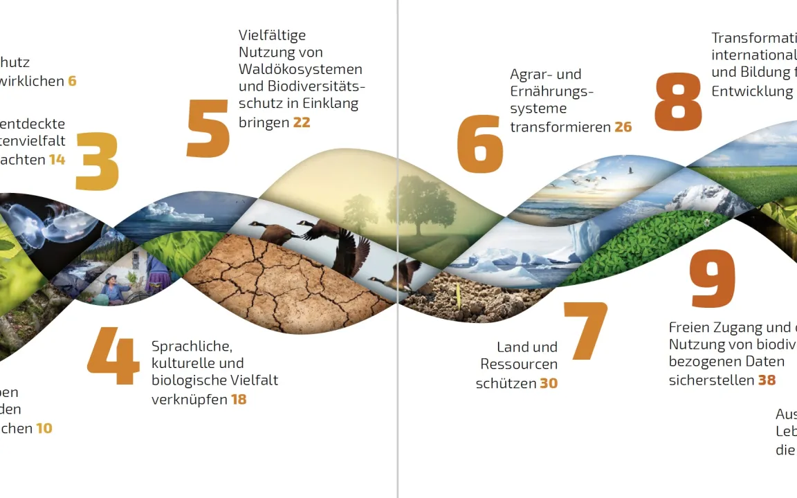 Was Sie schon immer über Biodiversität wissen wollten
