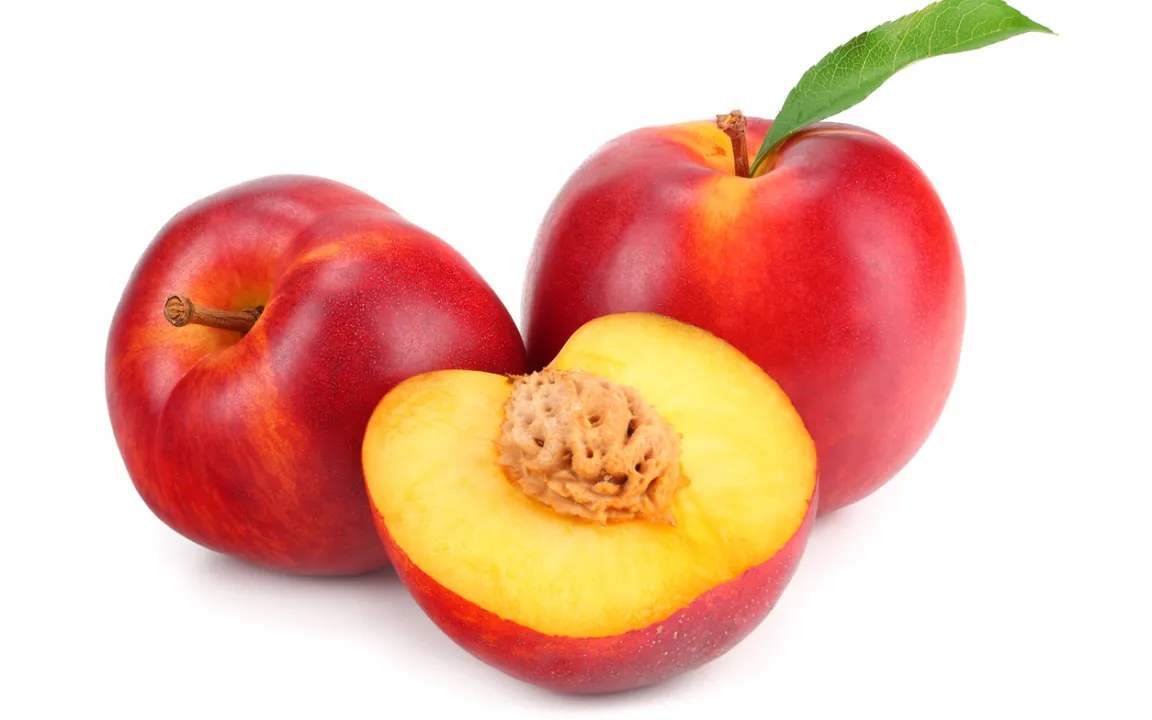 Nektarinen: Ein Hochgenuss von Juli bis September