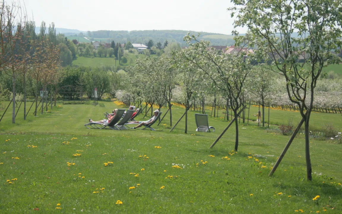 Kleinod in Lothringen: die Obstgärten von Laquenexy