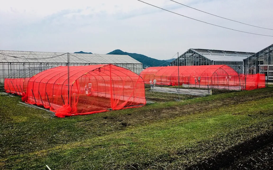 Stoppschild für Insekten