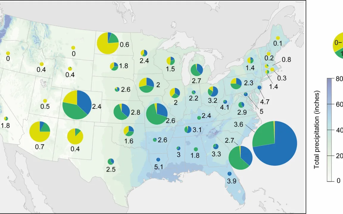 Die Wurzel ist der Schlüssel
