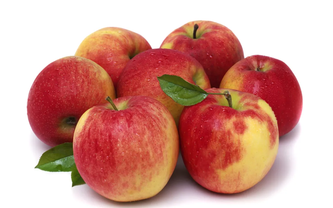 Elstar: Der Stern, der den Namen seiner Heimat trägt