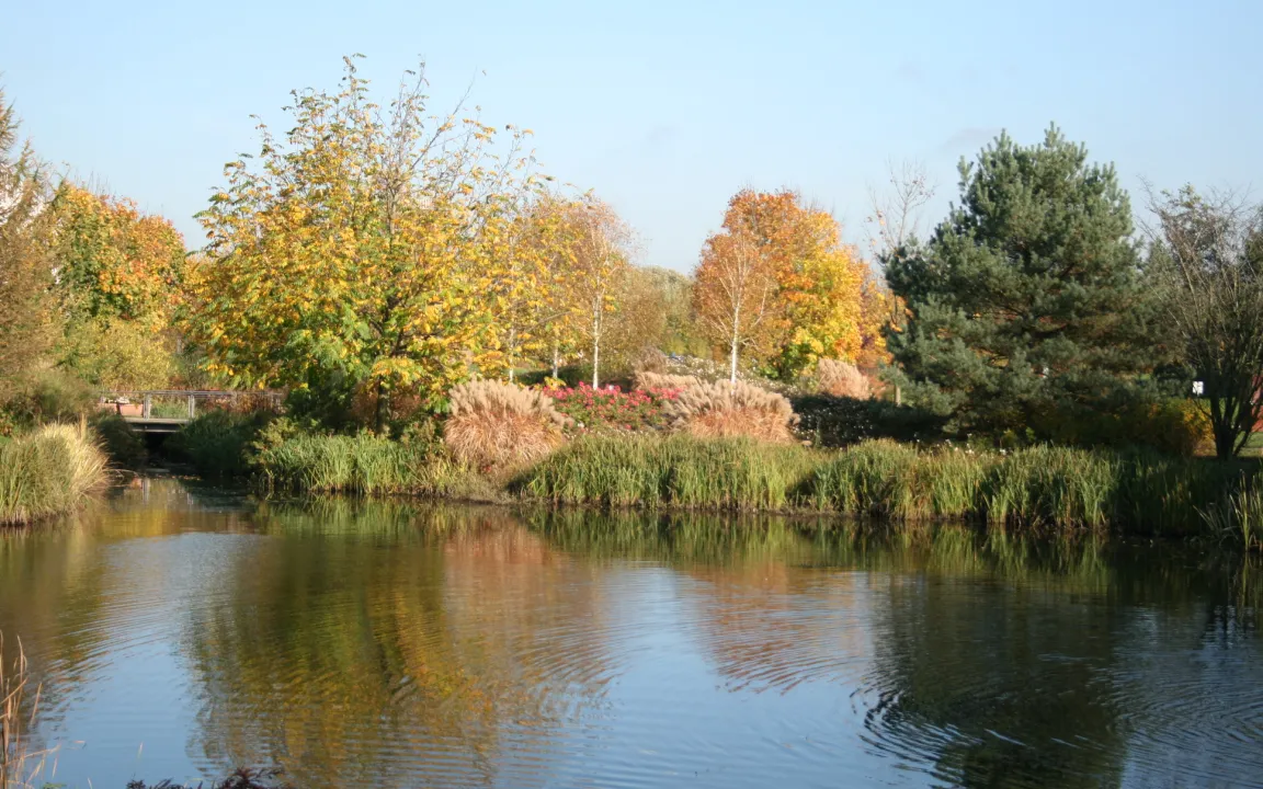 Laubfärbung sorgt für Farbenmeer