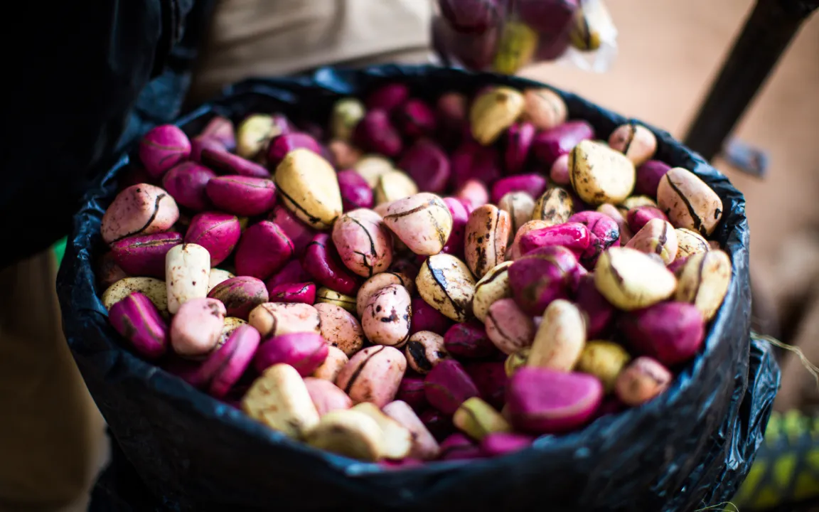 Kolanuss: Gab koffeinhaltigen Limonaden ihren Namen