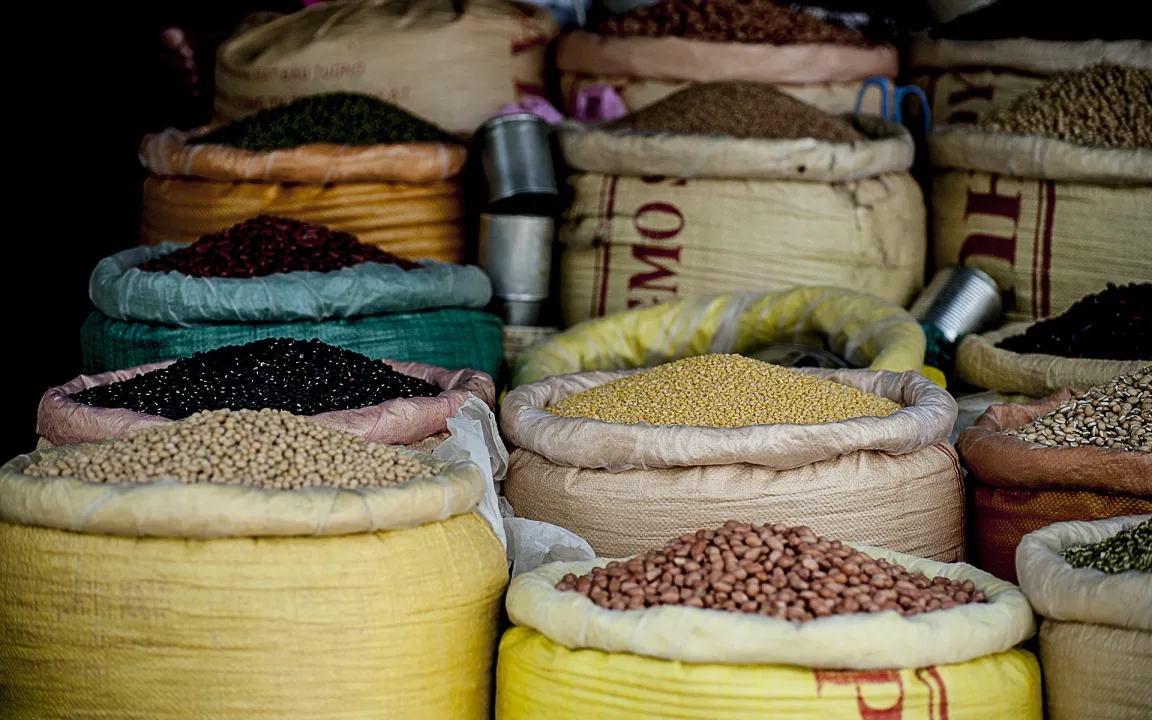 Machen Lektine in Hülsenfrüchten krank?