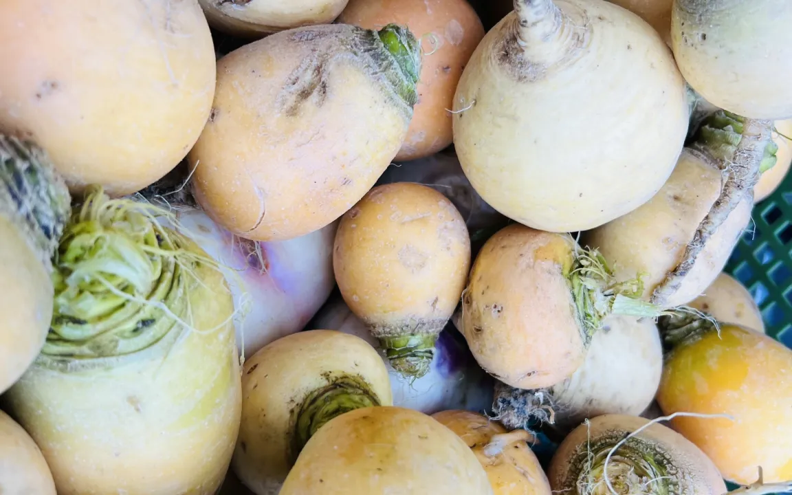 Butterrüben erleben eine Renaissance in der modernen Küche