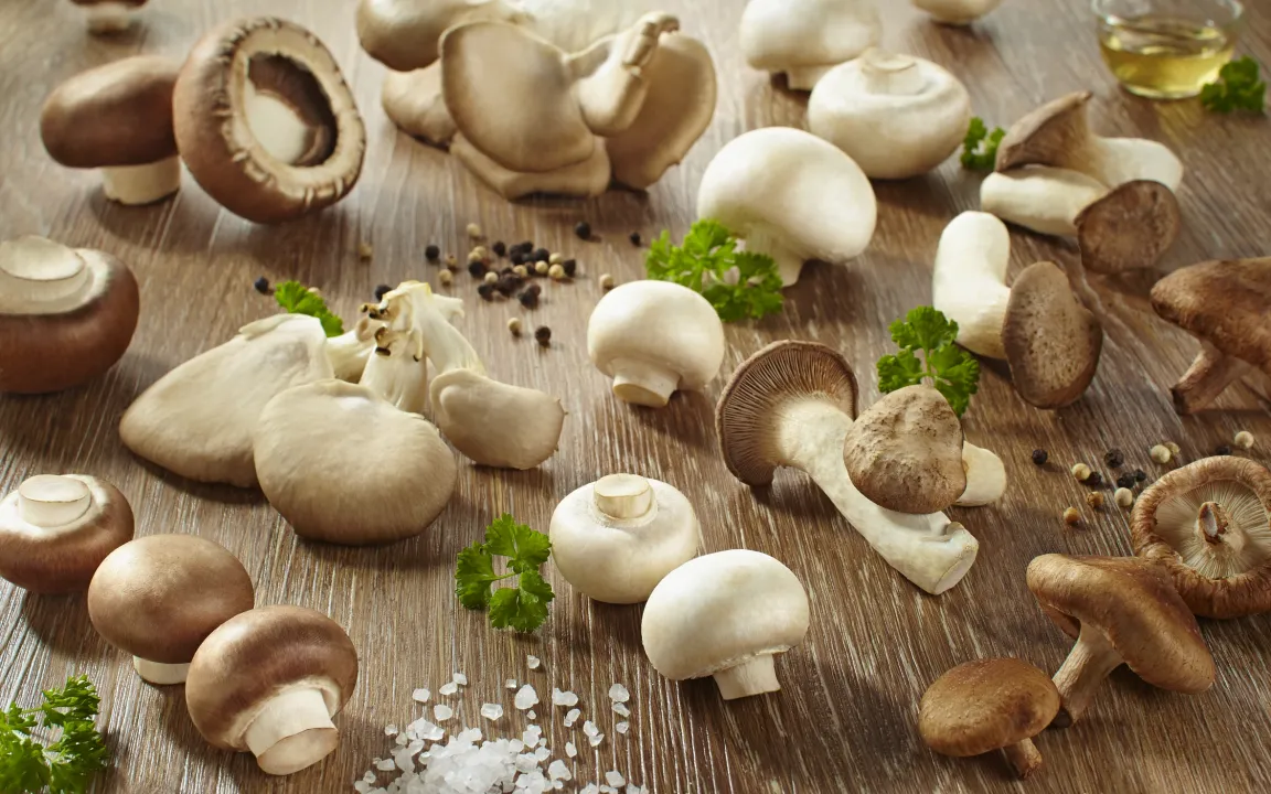 Pilz-Vielfalt genießen