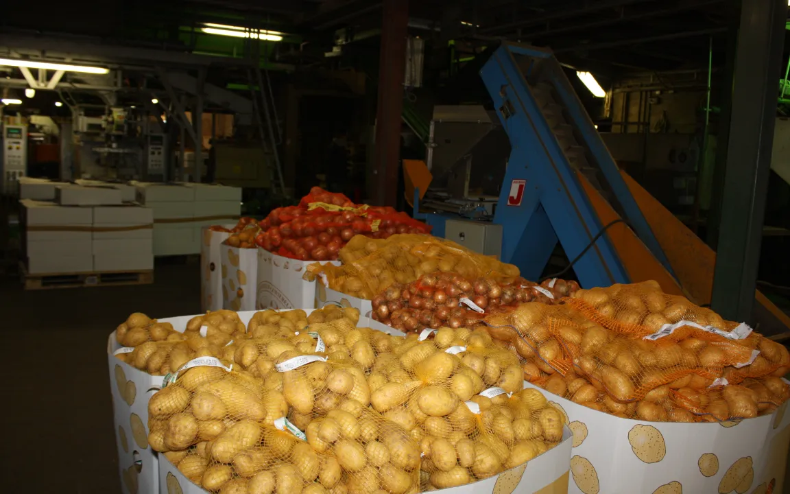 Die Deutschen essen wieder mehr Kartoffeln