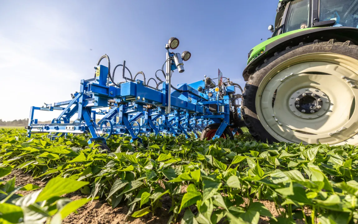 Integrierter Pflanzenbau: Konventionelle Betriebe können es