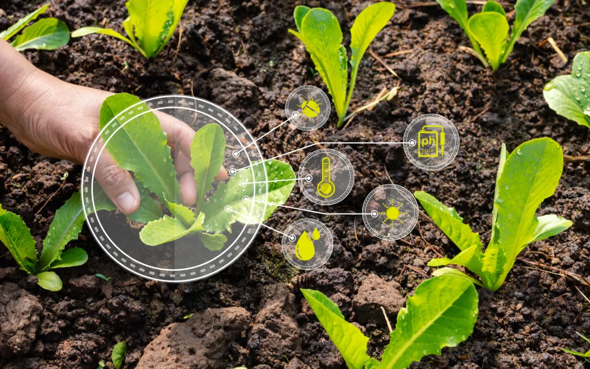 Spot Farming: Weniger Ressourceneinsatz, stabile Erträge