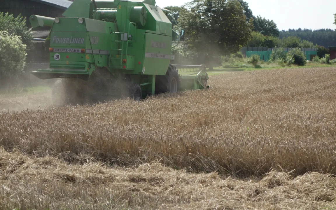 FAO-Prognose: Klimawandel lässt weltweit Anbauflächen schrumpfen