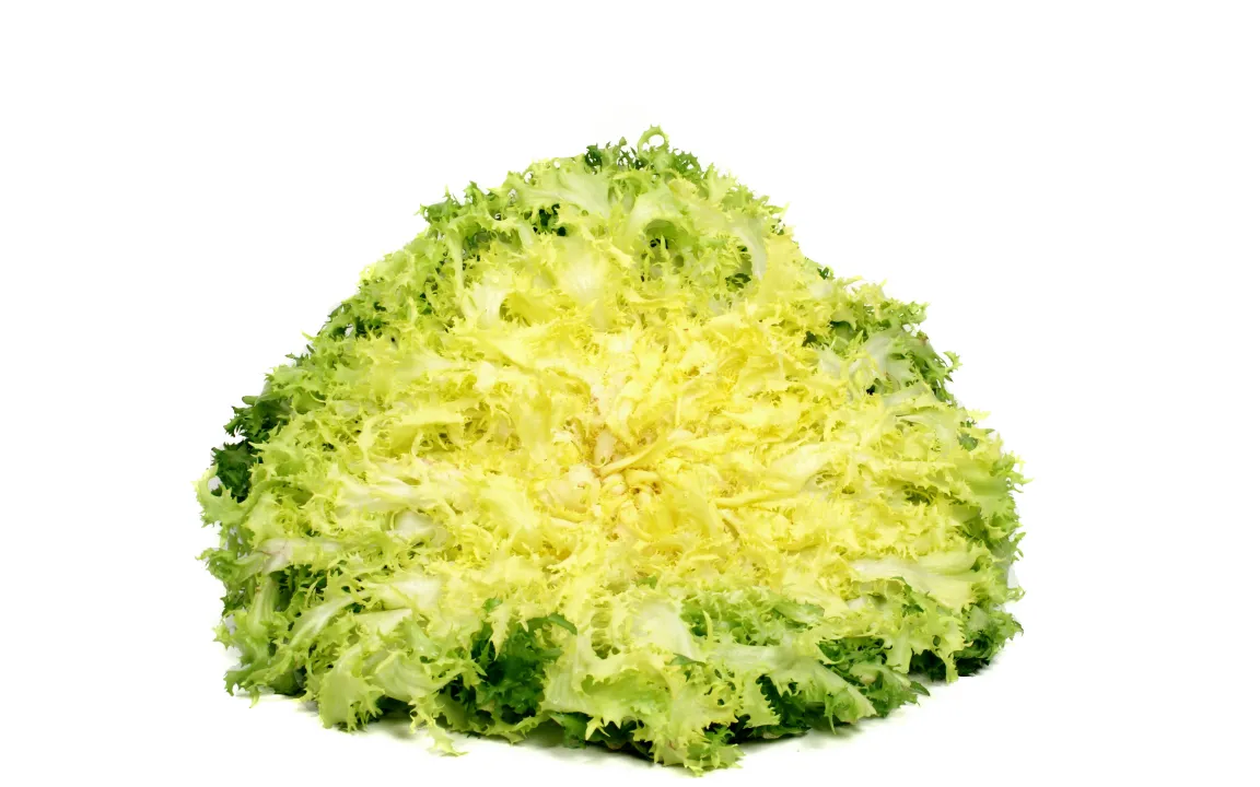 Endivie: Herb, aber herzlich