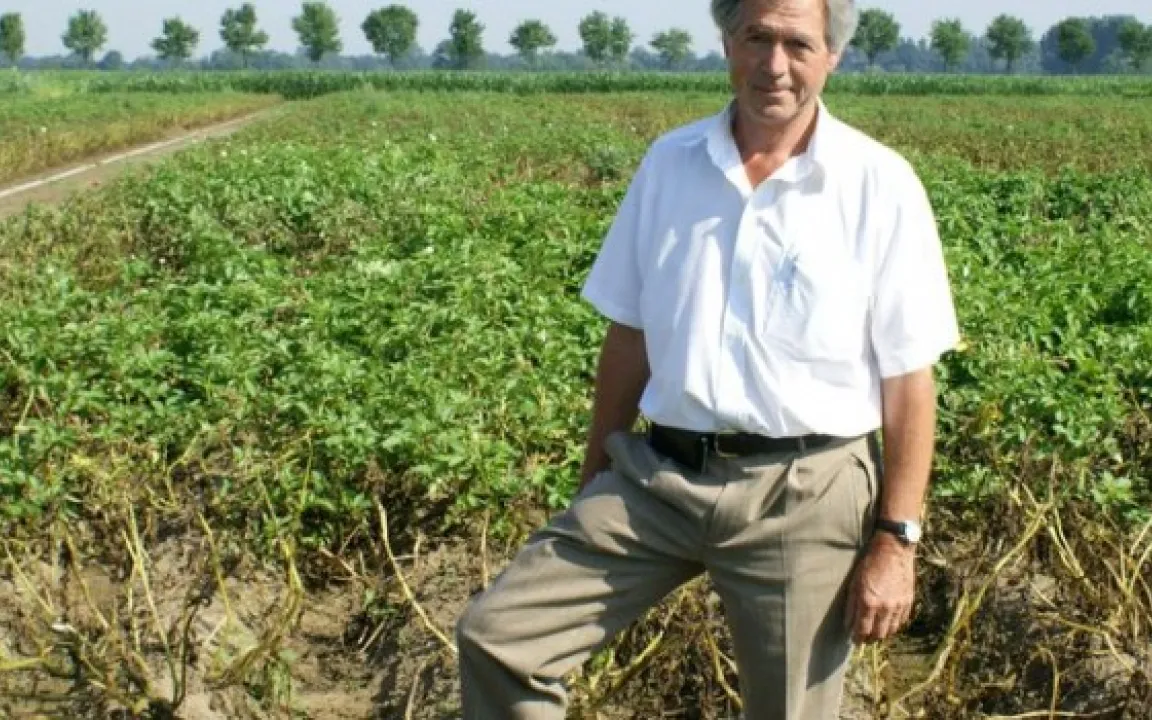 Cisgene Kartoffeln im Schweizer Freilandversuch