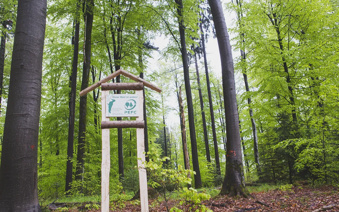 Tag des Waldes am 21. März