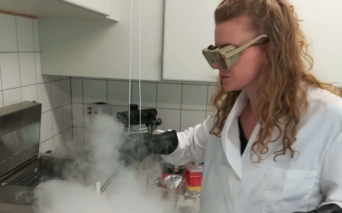 Genreserve für Bienen