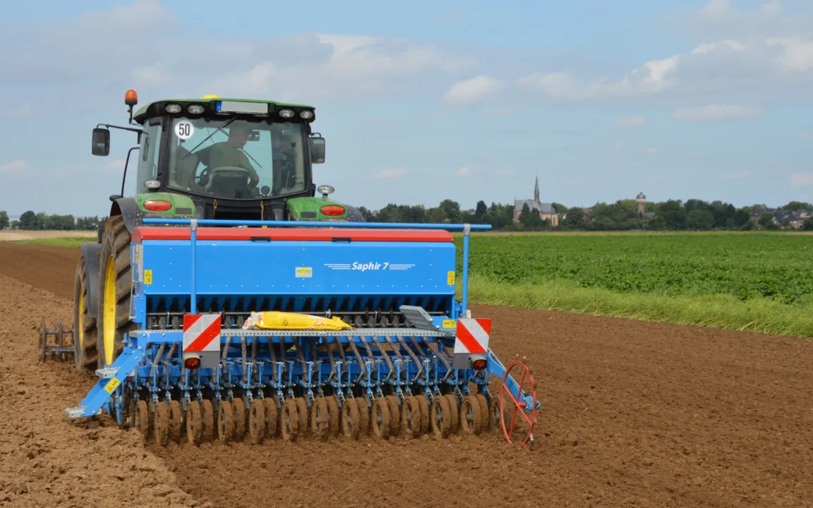 Welche Weizensorte ist die richtige?