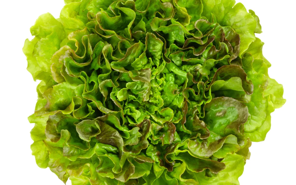 Bataviasalat – wie gemacht fürs Büfett und die Figur