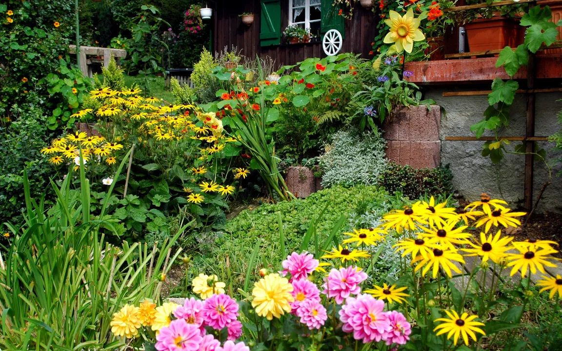 Integrierter Pflanzenschutz ist Umweltschutz im Garten